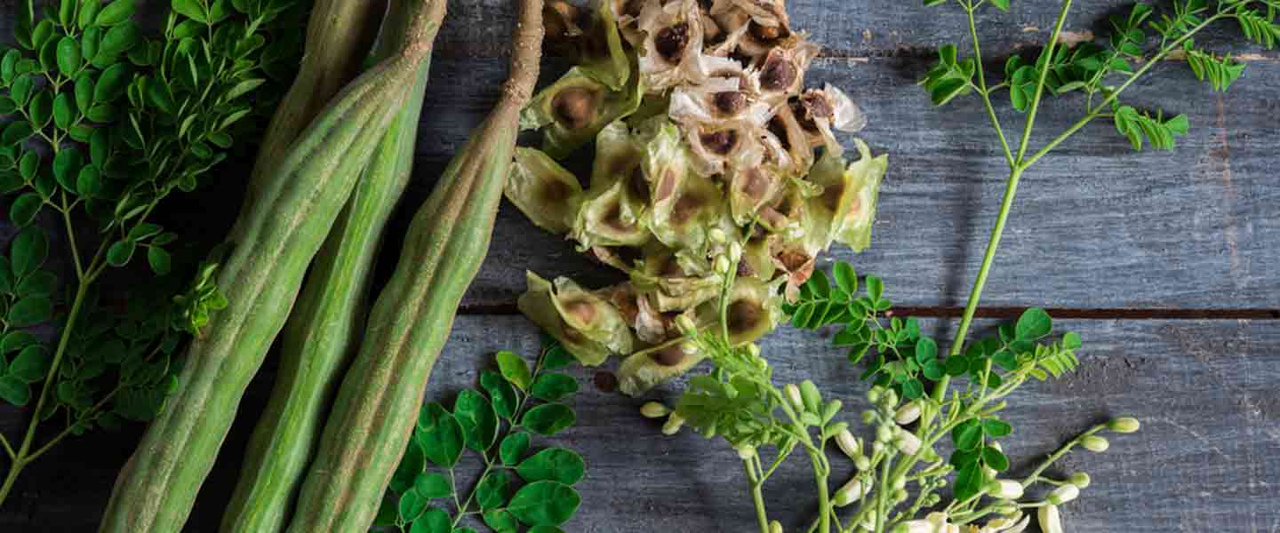 Unsa ang Moringa Tea, Unsa ang mga Kaayohan sa Moringa Tea?